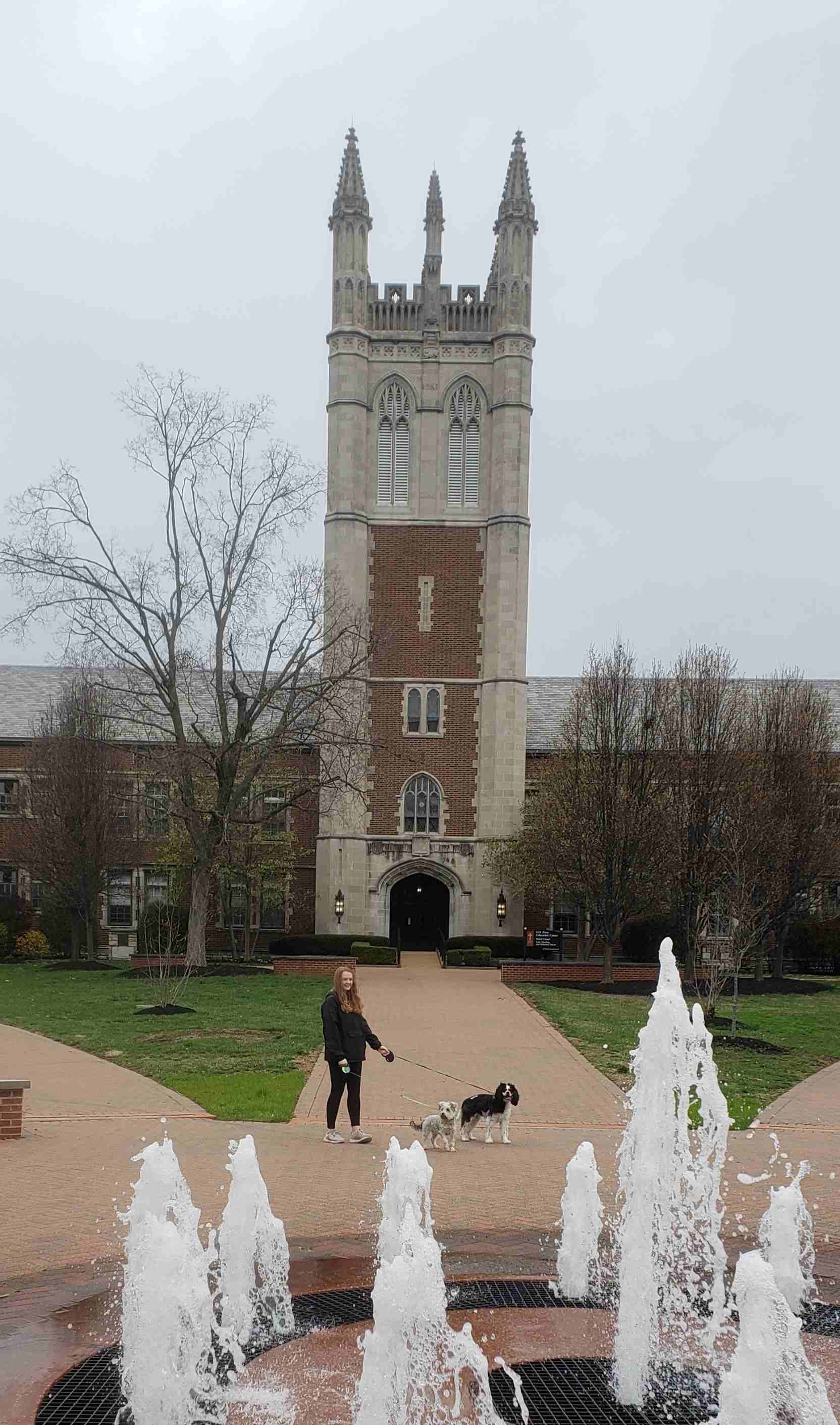 2020-03-20 Jane and Dogs.jpg